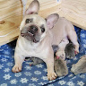 Meet your Posher, Tracey